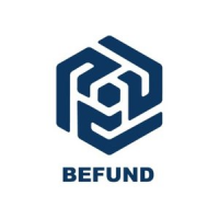 Befund Logo