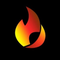 Burn Coin Logo