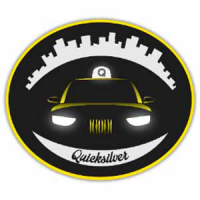 Quicksilver coin Logo