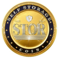 Self Storage Coin Logo