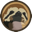 Slothcoin