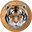 Tigercoin