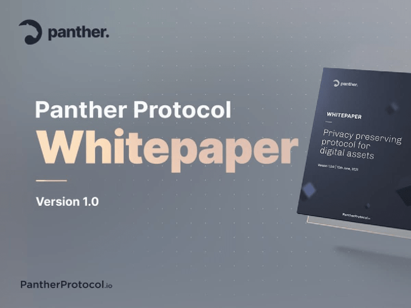 Panther Protocol Releases Ambitious Whitepaper for an End-to-End DeFi Privacy Solution