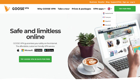 Goose VPN Screenshot
